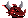 head image